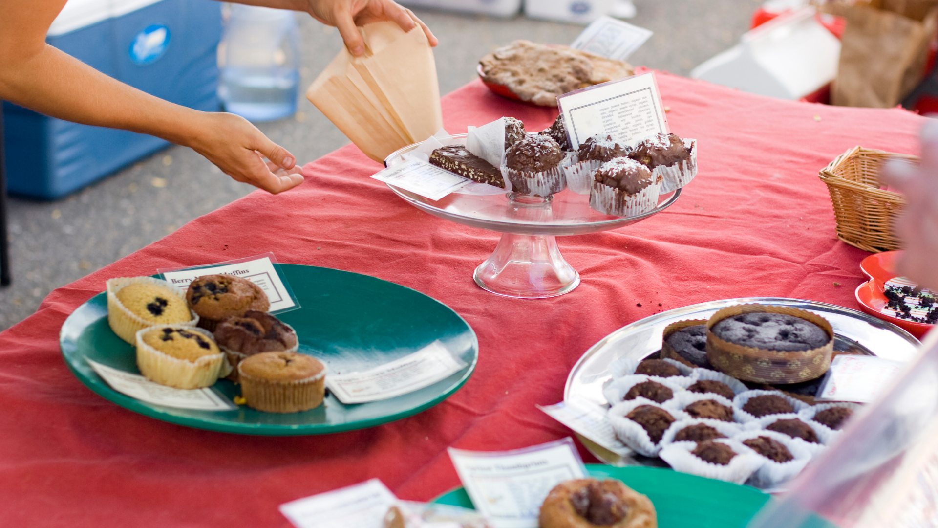 Macmillan Coffee Morning